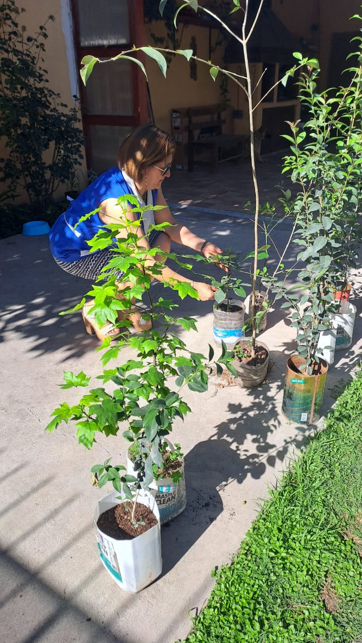 Donación de árboles a la Escuela Cristobal Colón
