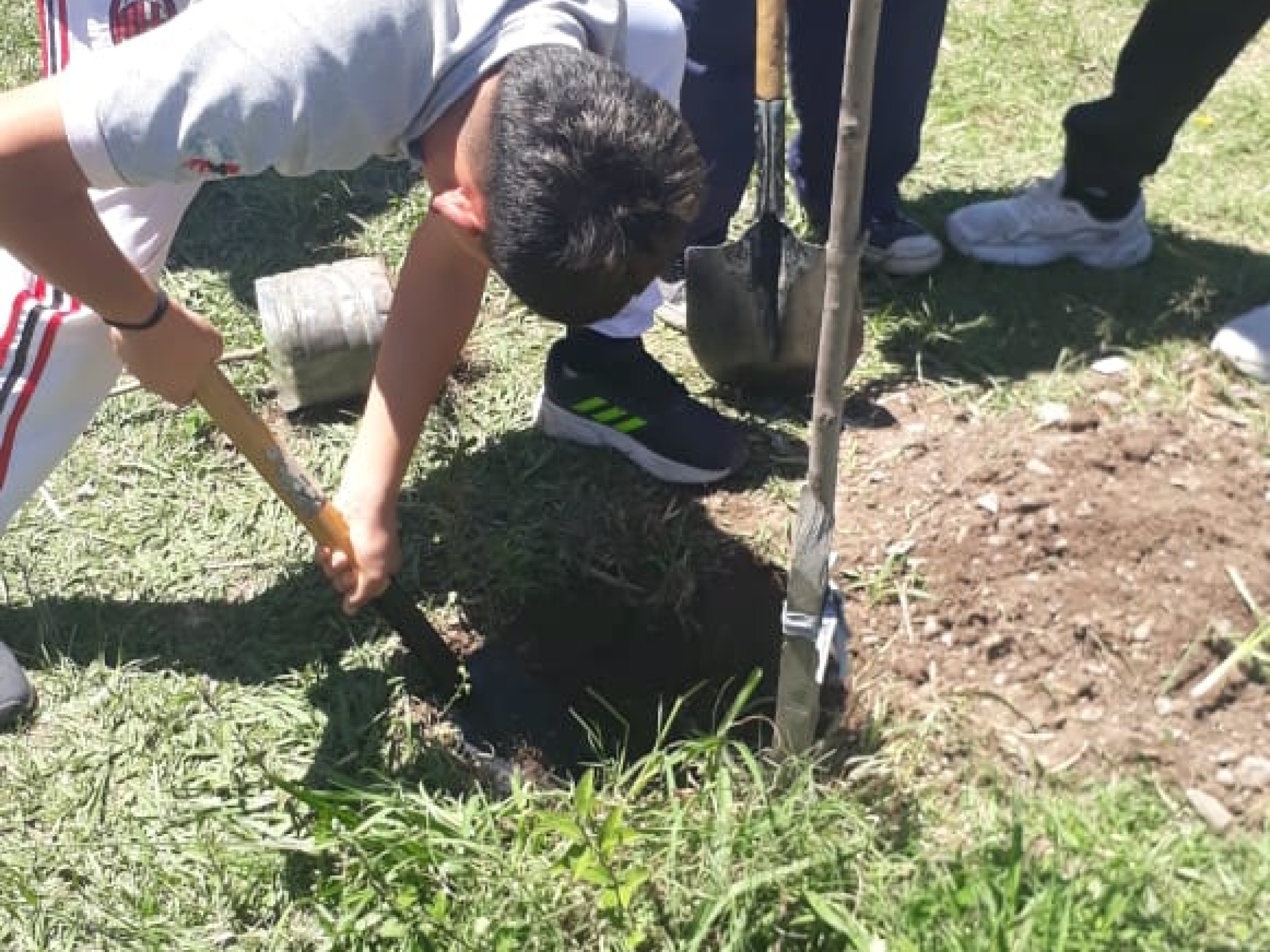 Donación de árboles a la Escuela Cristobal Colón